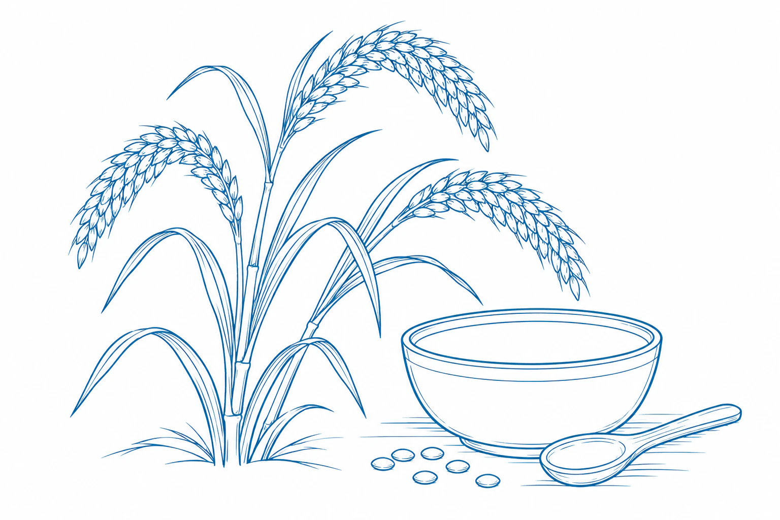 Botanical line illustration of grain stalks beside a bowl and spoon.